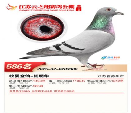 ������֮�����586��