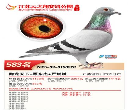 ������֮�����583��