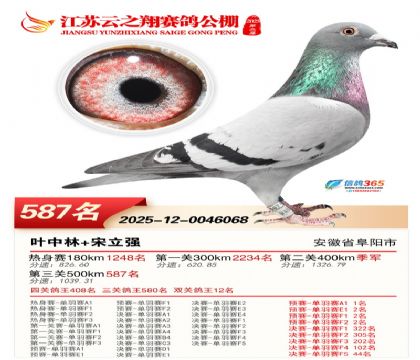 ������֮�����587��