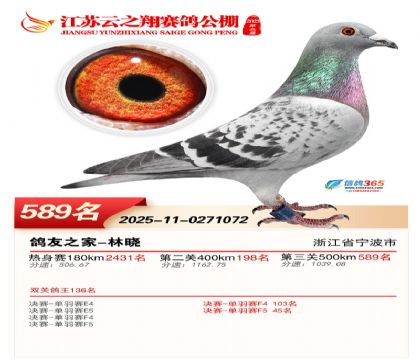 ������֮�����589��