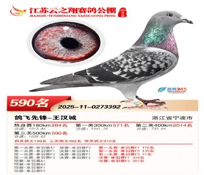 ������֮�����590��