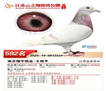 ������֮�����592��