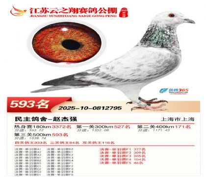 ������֮�����593��