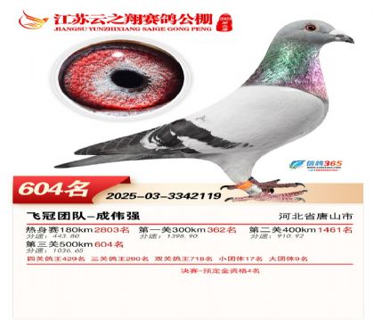 ������֮�����604��