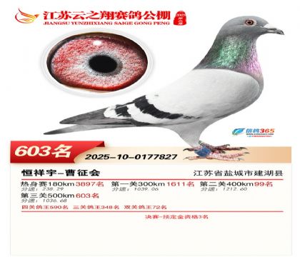 ������֮�����603��