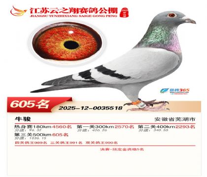 ������֮�����605��