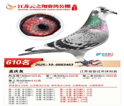 ������֮�����610��