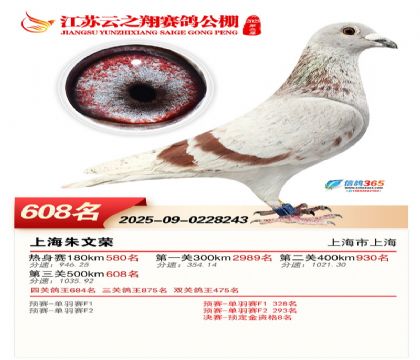 ������֮�����608��