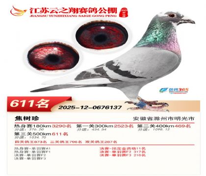 ������֮�����611��