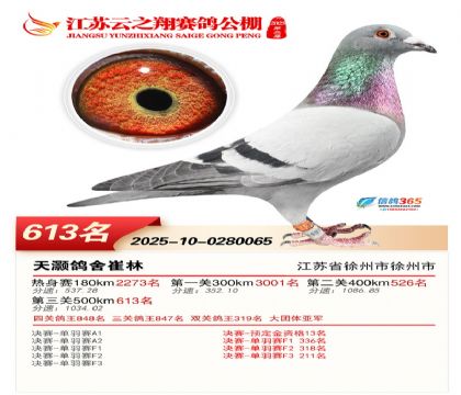 ������֮�����613��