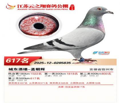 ������֮�����617��