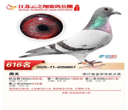 ������֮�����616��