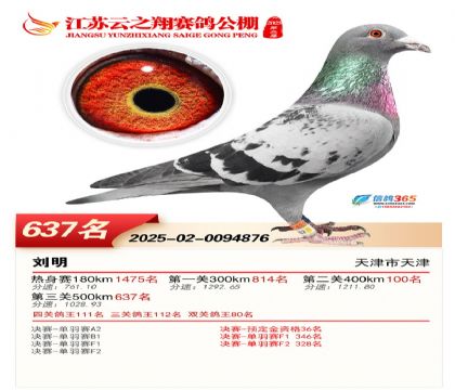 ������֮�����637��