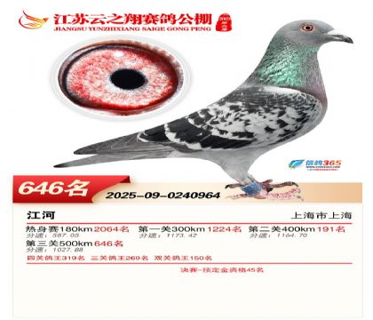 ������֮�����646��