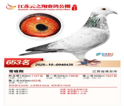 ������֮�����653��