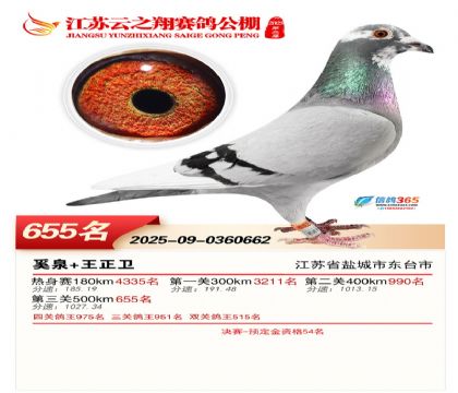 ������֮�����655��