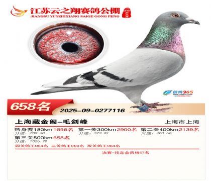 ������֮�����658��