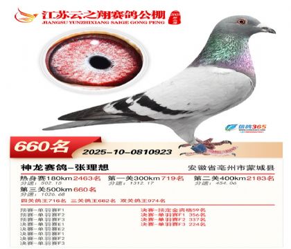 ������֮�����660��