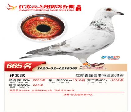 ������֮�����665��