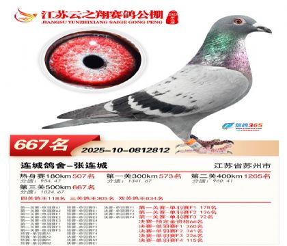 ������֮�����667��