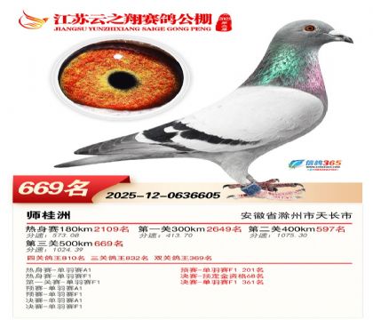 ������֮�����669��