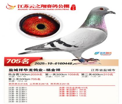 ������֮�����705��