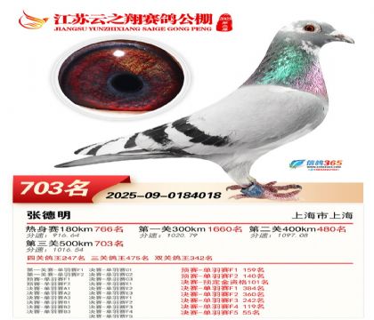 ������֮�����703��