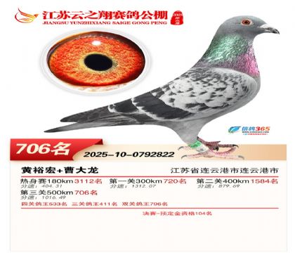 ������֮�����706��