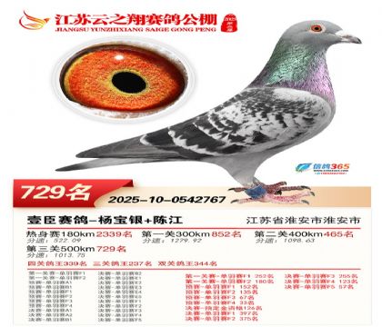 ������֮�����729��