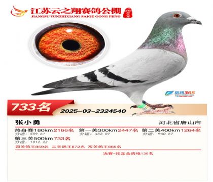 ������֮�����733��