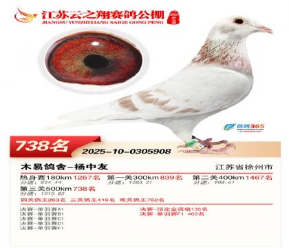 ������֮�����738��