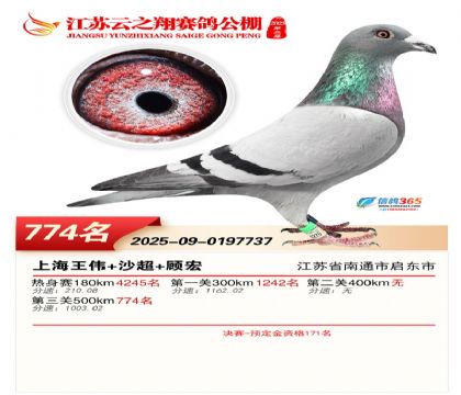 ������֮�����774��