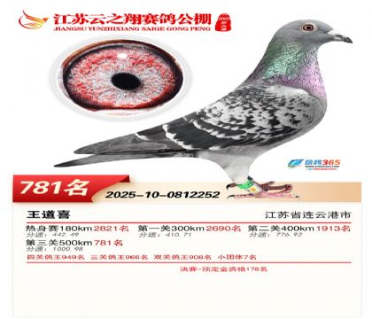 ������֮�����781��