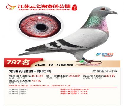 ������֮�����787��