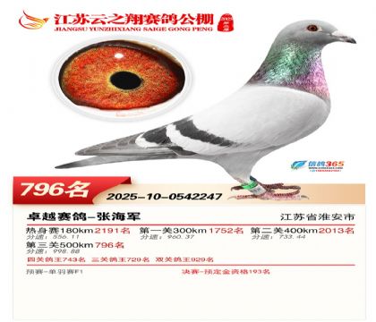 ������֮�����796��