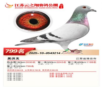 ������֮�����799��