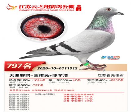 ������֮�����797��