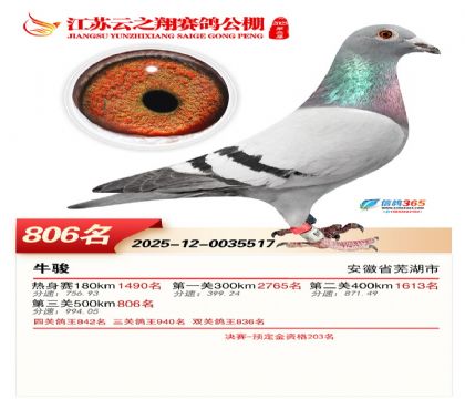 ������֮�����806��