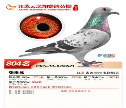 ������֮�����804��