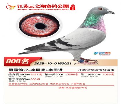 ������֮�����808��