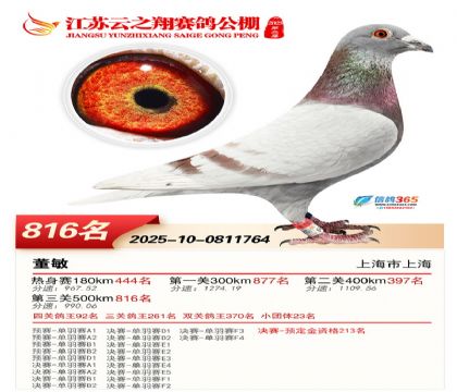 ������֮�����816��