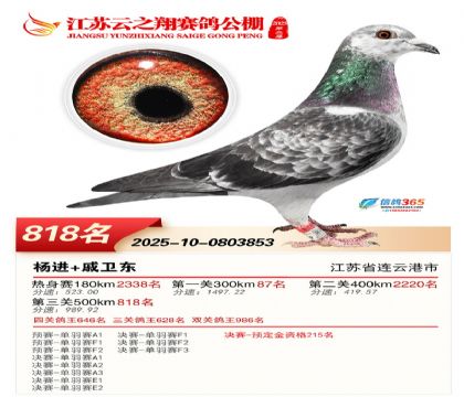 ������֮�����818��