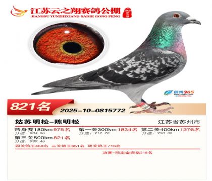 ������֮�����821��