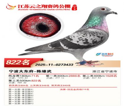 ������֮�����822��