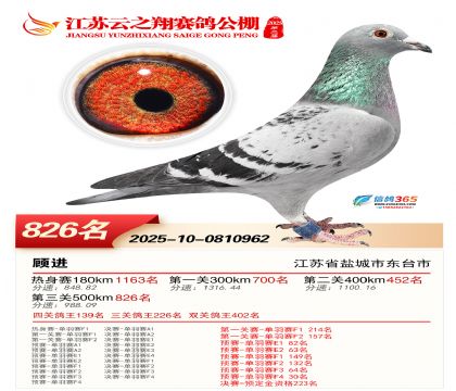 ������֮�����826��