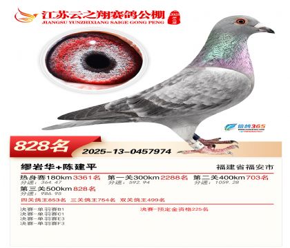 ������֮�����828��