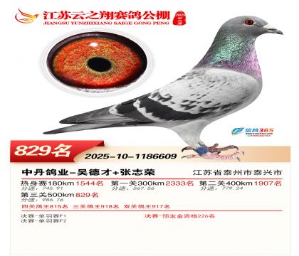 ������֮�����829��