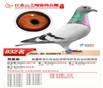 ������֮�����832��