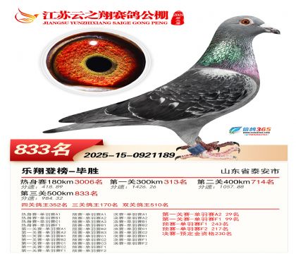 ������֮�����833��