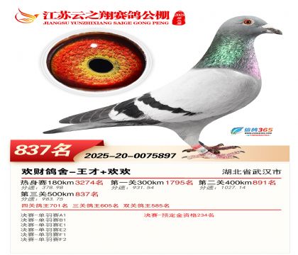 ������֮�����837��